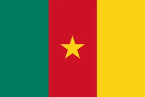 Drapeau du Cameroun avec bandes verte, rouge et jaune, &eacute;toile au centre.